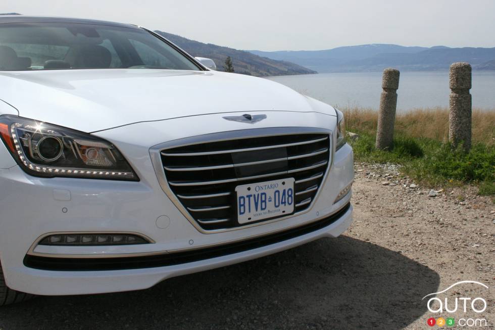 front grille détails