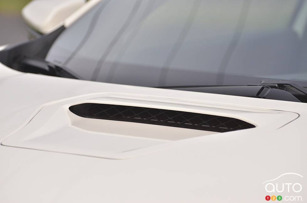 Volet de ventilation 