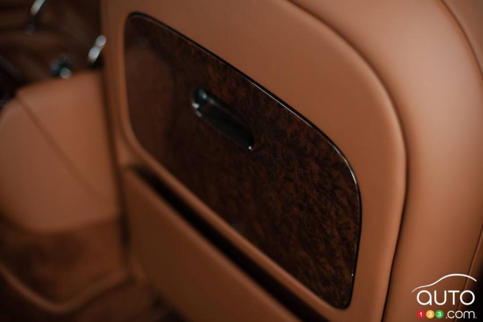 Passenger tray table