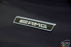 2016 Mercedes-Benz GLE 450 AMG exterior detail