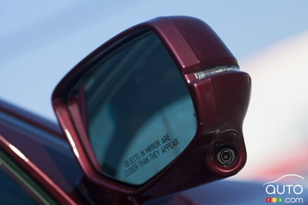 Lane Watch blind spot camera/display