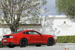 Mustangs Around the World - Portugal (Side view)