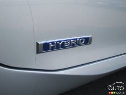 Hybrid logo