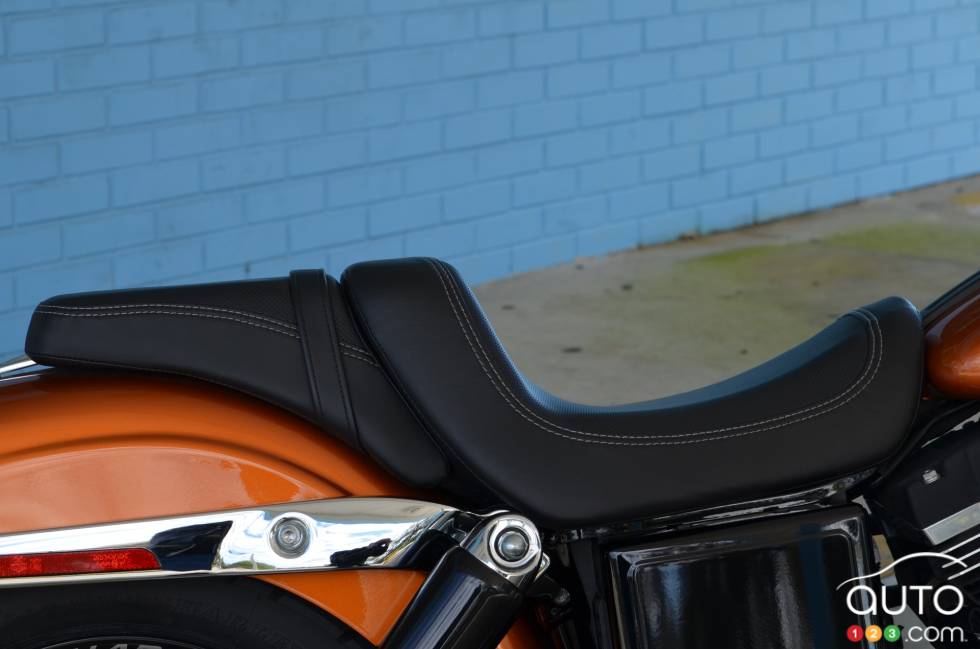 saddle