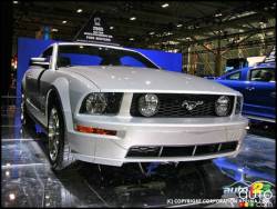 Toronto Ford 2005