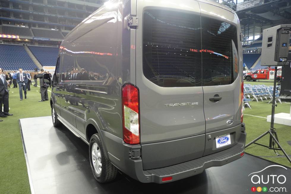 Rear cargo doors