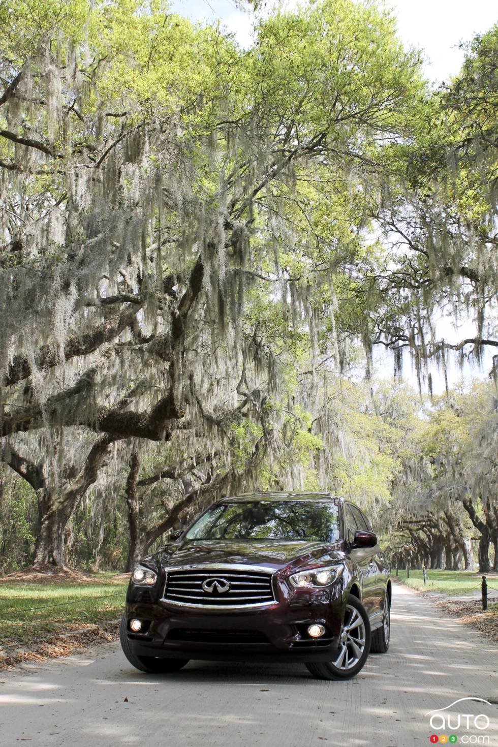 Front 3/4 view, vertical