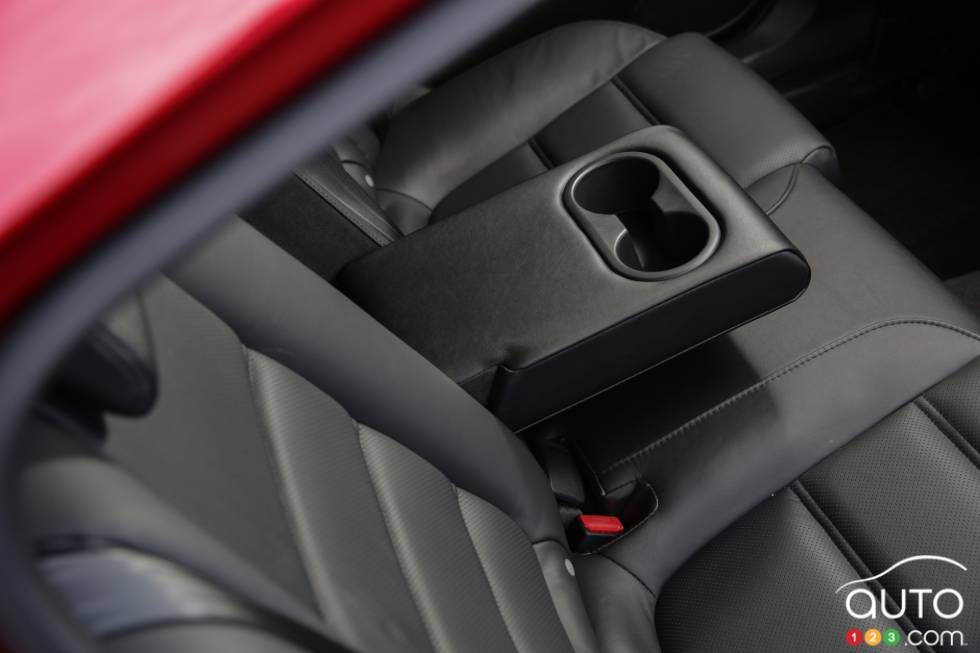 rear seats' arm rest