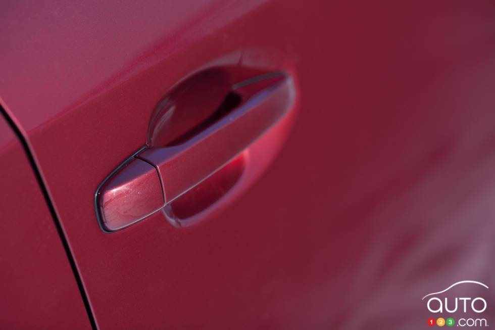 Détails de la poignée de porte