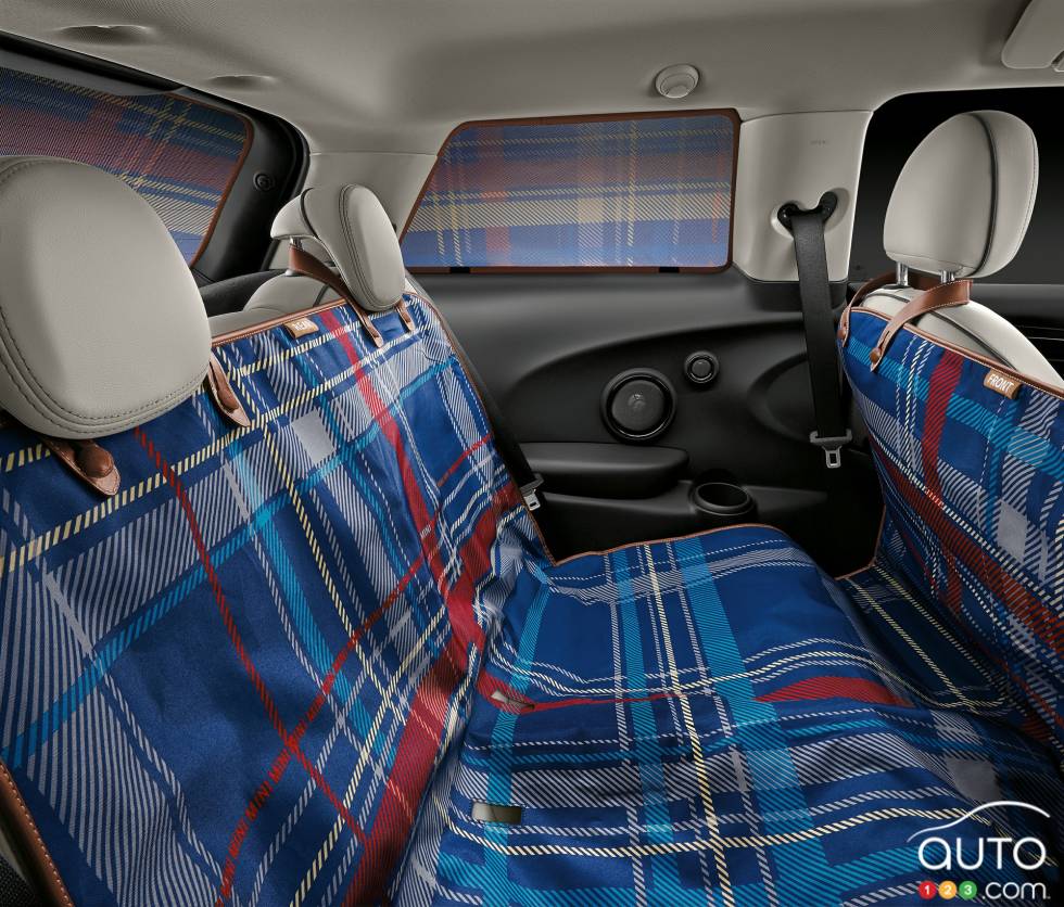 rear seats