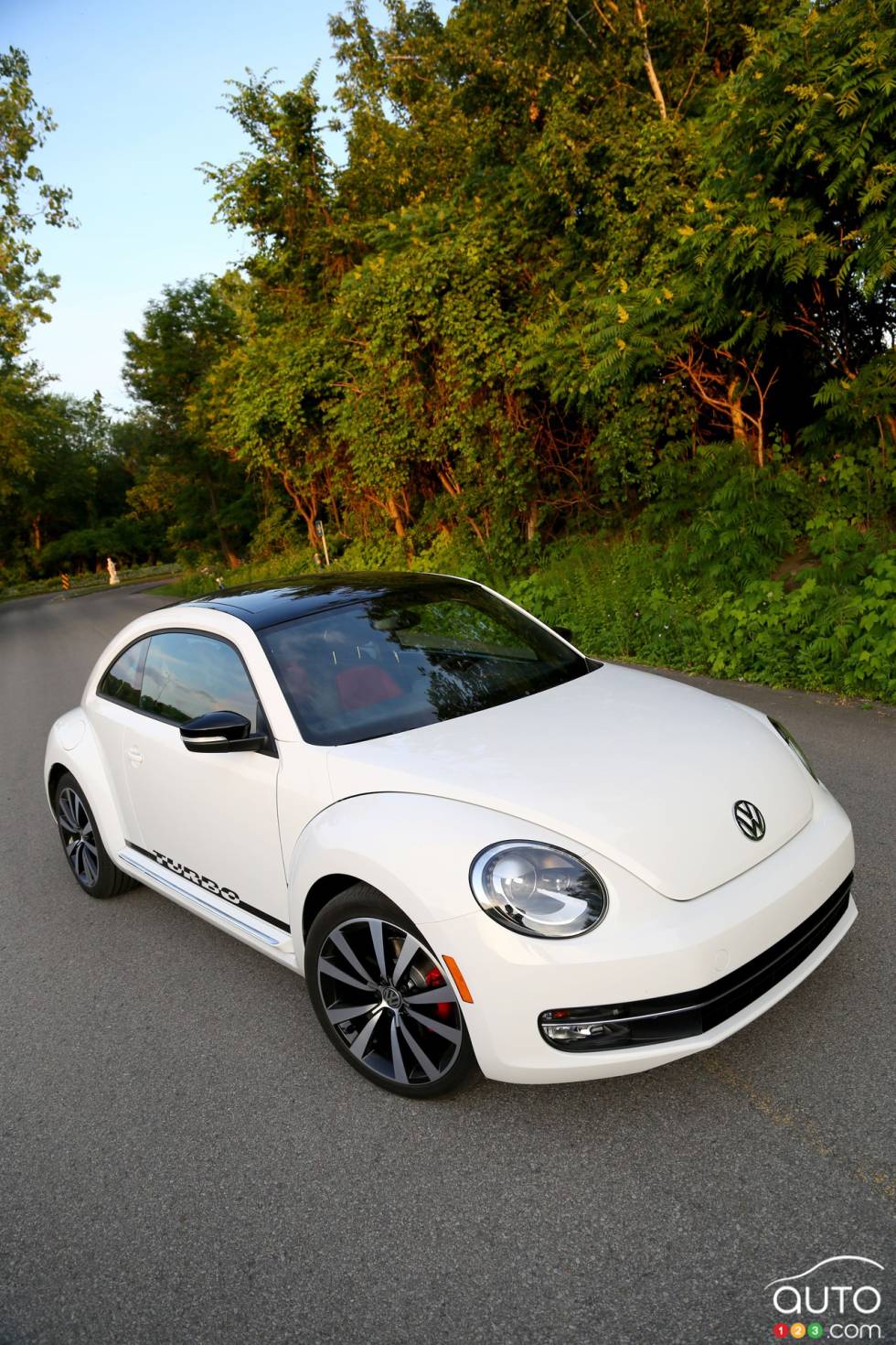 front 3/4 view from above