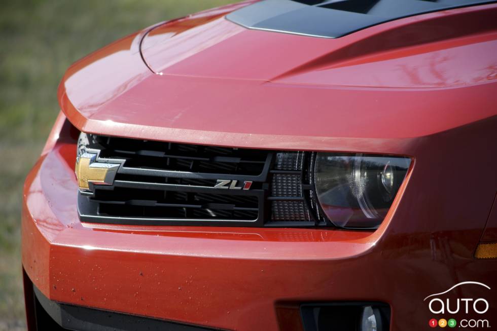 Grille details