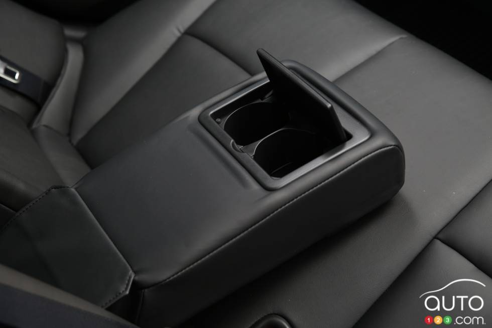 rear seats' arm rest