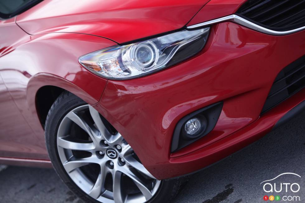 Headlight and foglight details