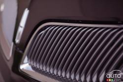 Grille close-up