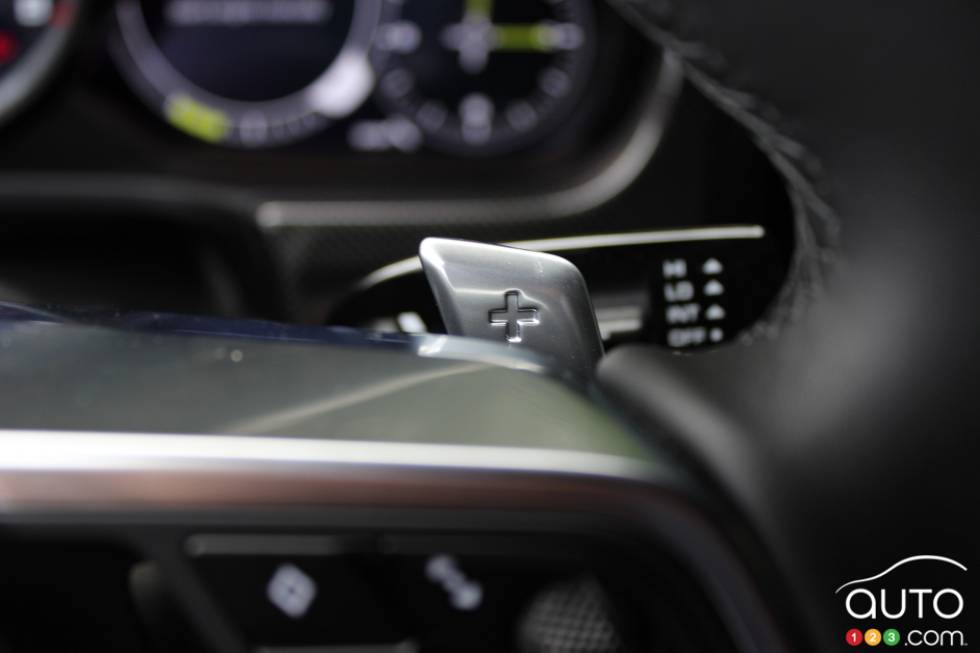 Steering Wheel Features