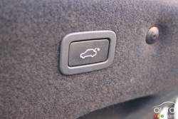 Trunk opening button