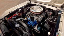 À l'encan, la Ford Mustang GT350 Fastback