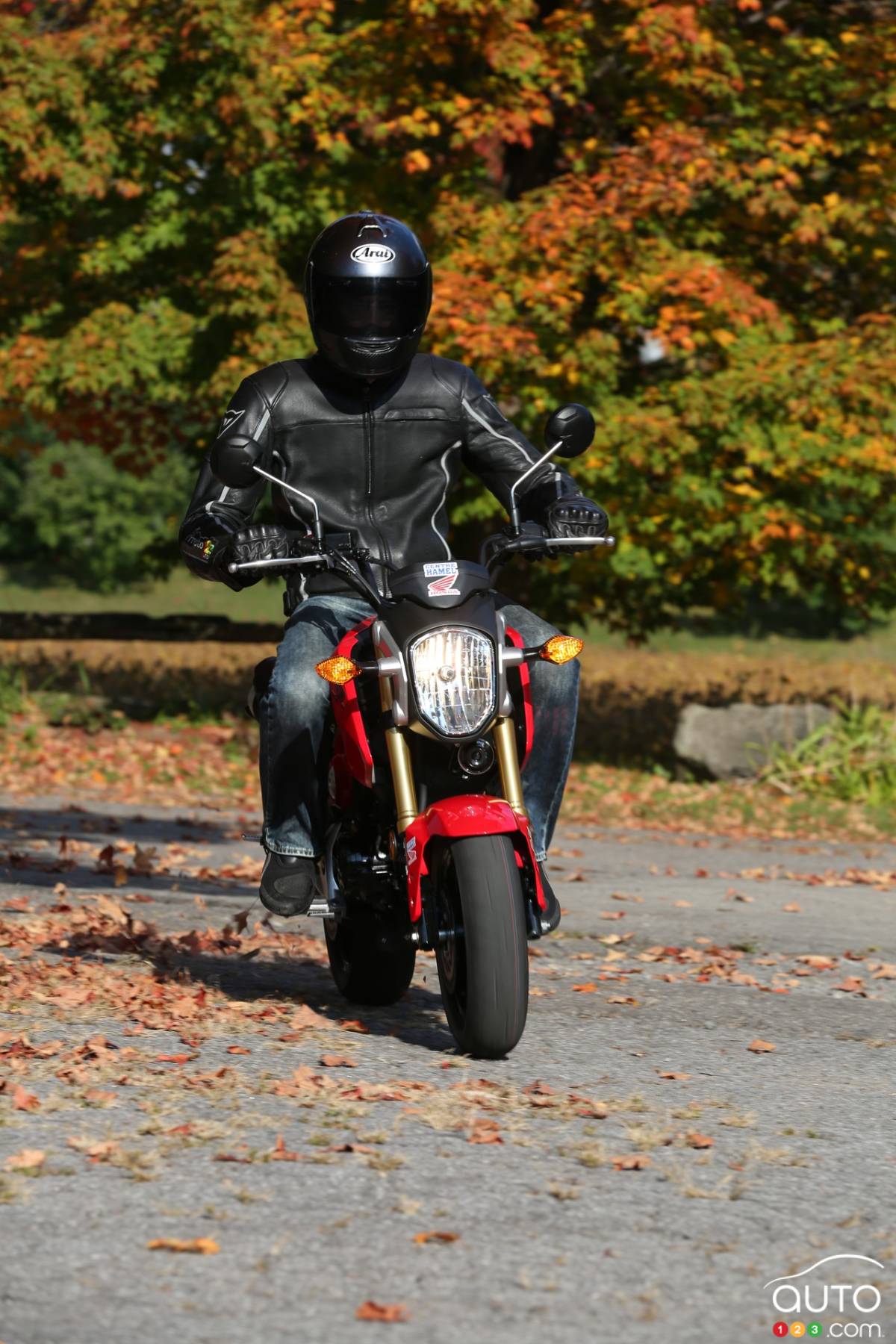 Honda grom clearance jacket