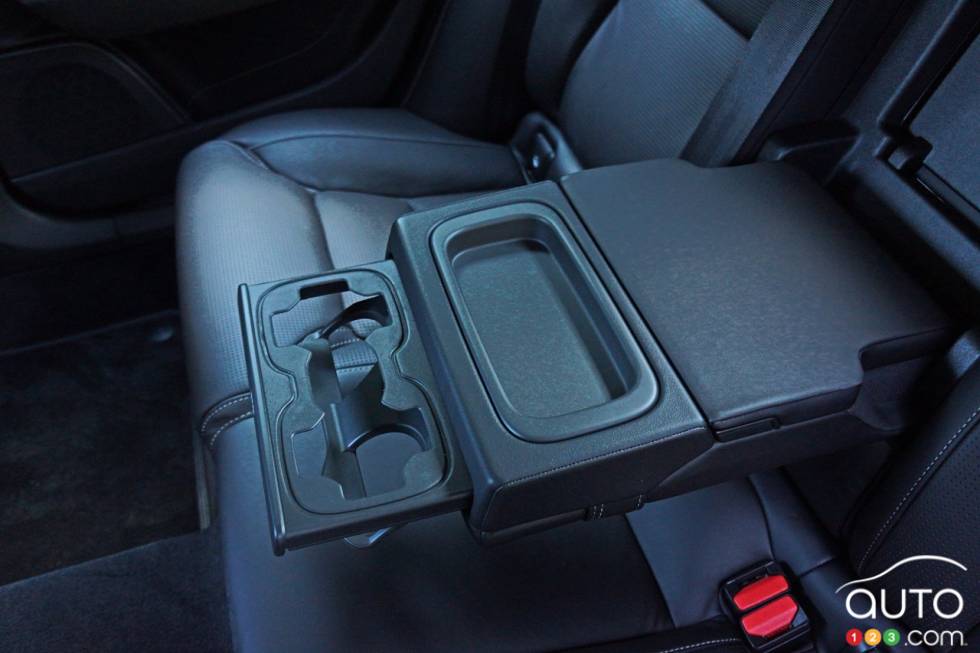   Rear armrest                             