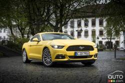 Mustangs Around the World - Germany (front view)