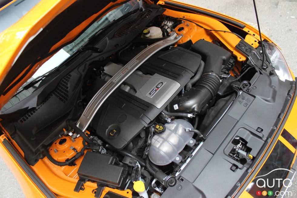 We drive the 2019 Ford Mustang w/ Performance Pack 2