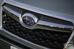 front grille détails