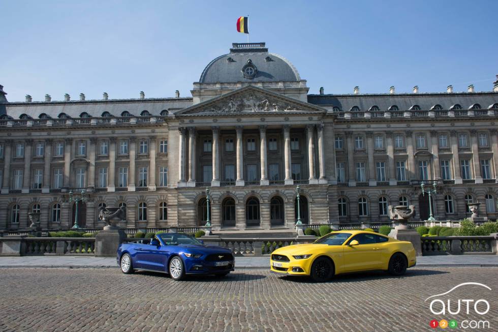 Mustangs Around the World - Belgium (side view)