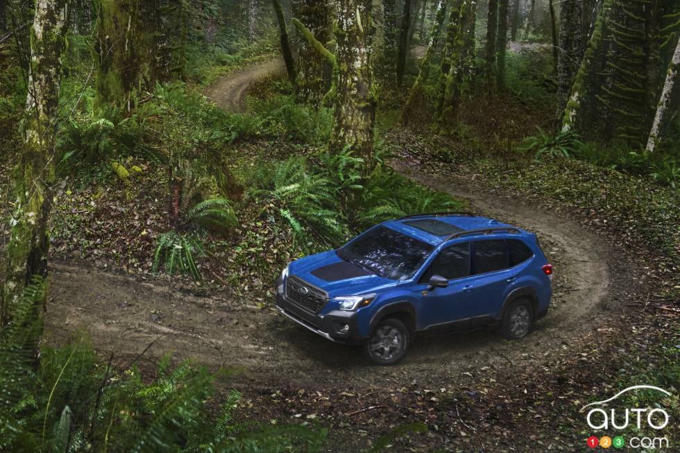 Voici le Subaru Forester Wilderness 2022