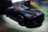 2019 BMW 8 Series Convertible pictures
