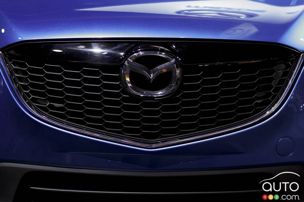 Grille details