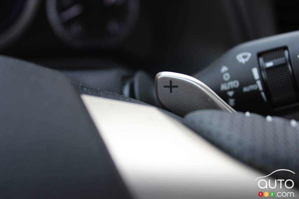 Steering Wheel Features