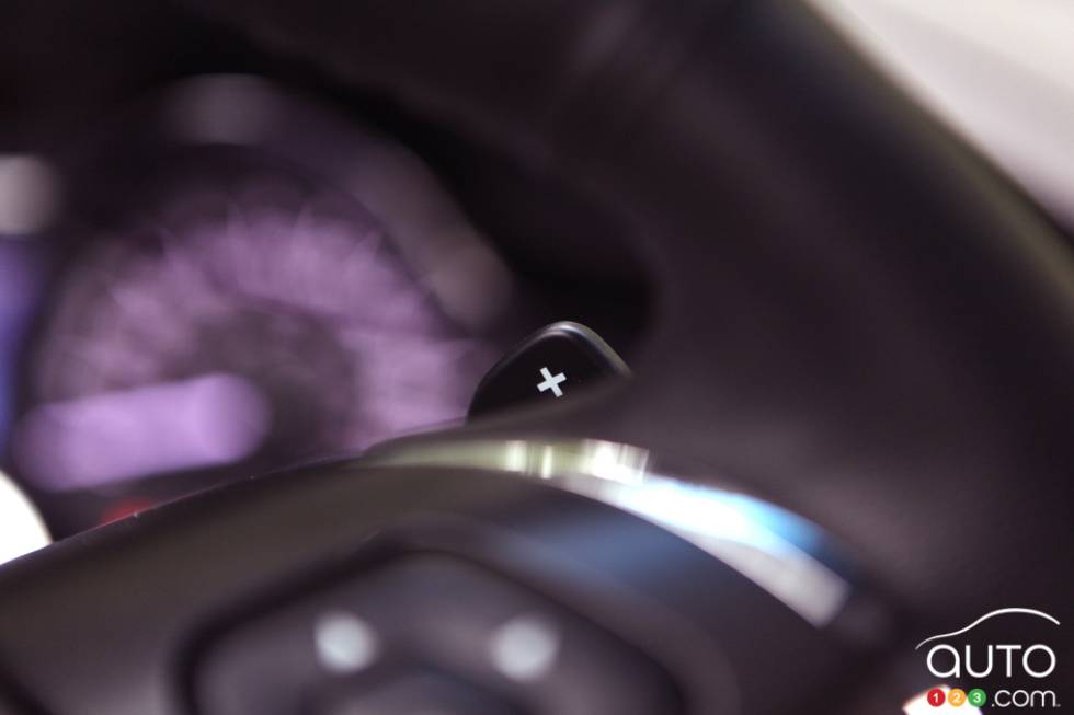 Paddle shifter on the steering wheel