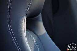 Détails de la garniture des sièges