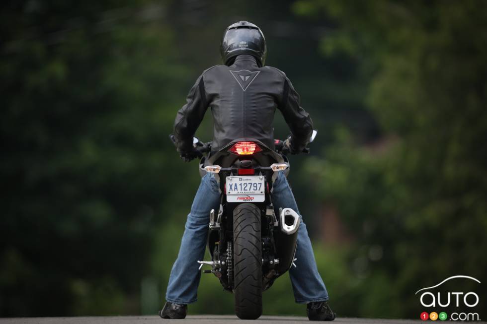 rear view with rider