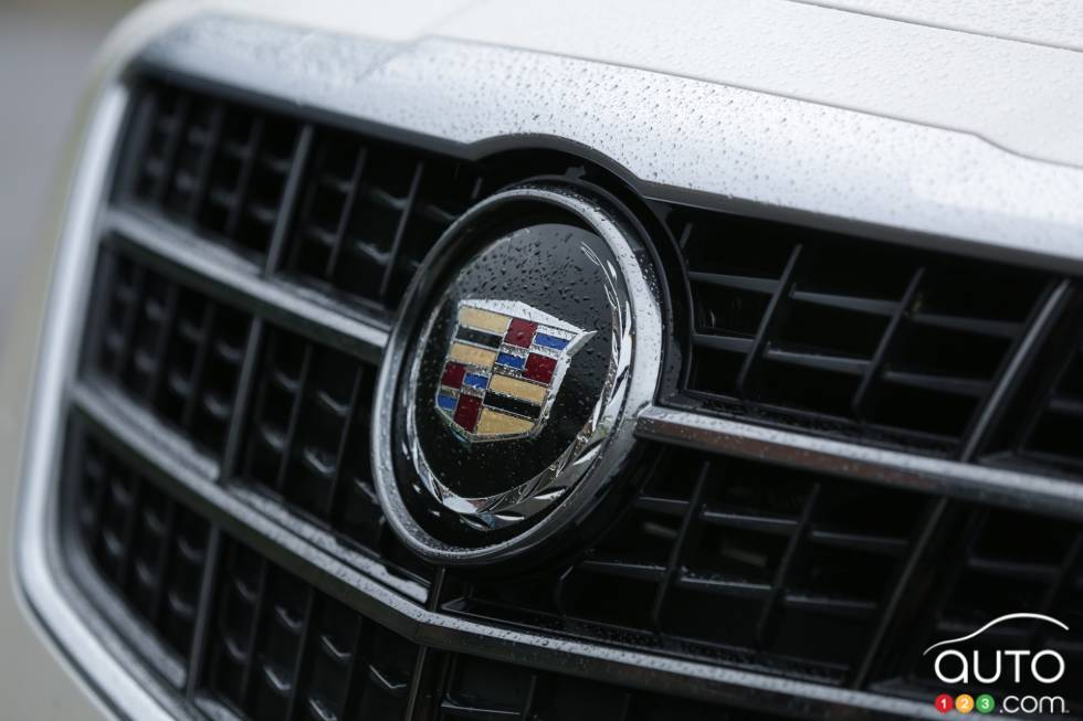 front grille détails