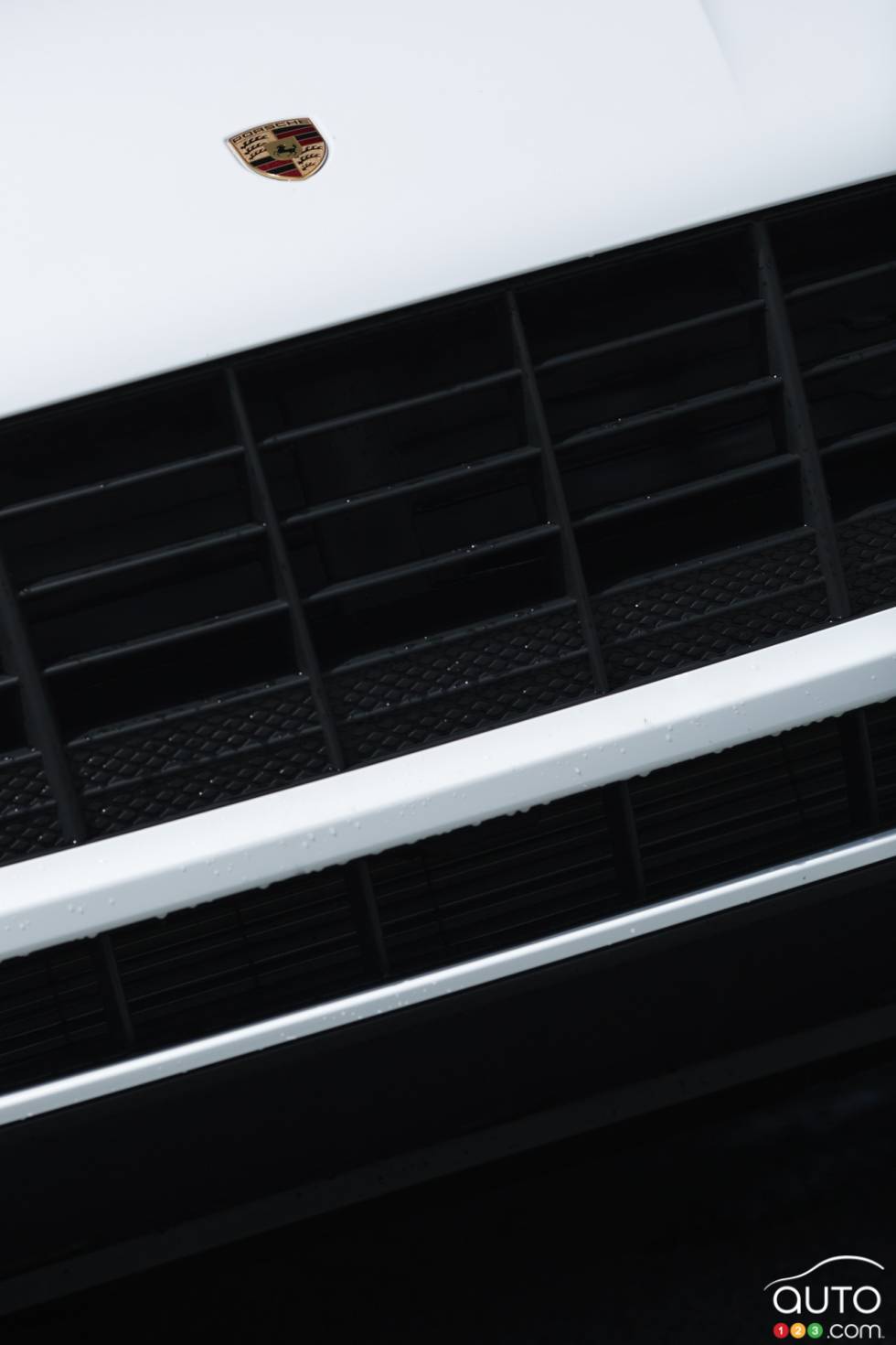 détails de la calandre avant