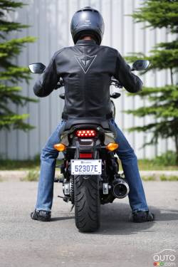 rear view with rider