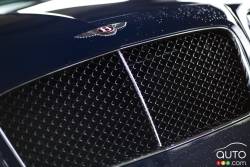 front grille détails