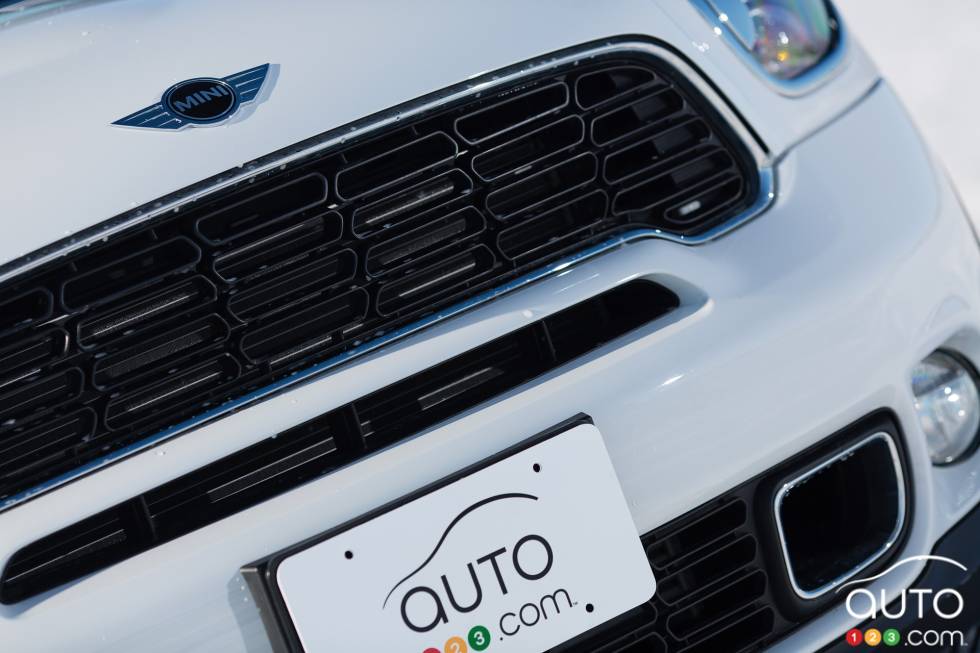 Détails de la calandre