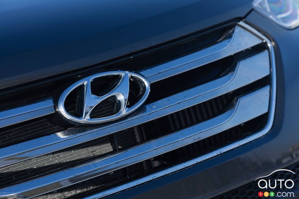 Détails de la calandre